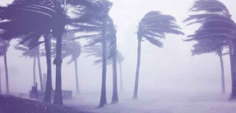 5 Ways to Hurricane-Proof Your Disaster Recovery Plan