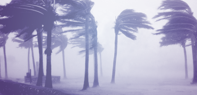 DF_blog_hurricane
