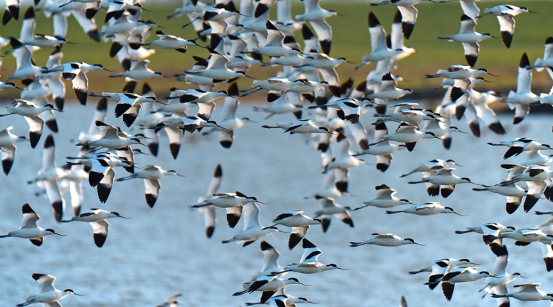 application-migration-blog-2